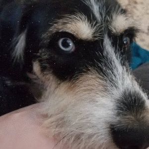 Meet your Posher, Kat